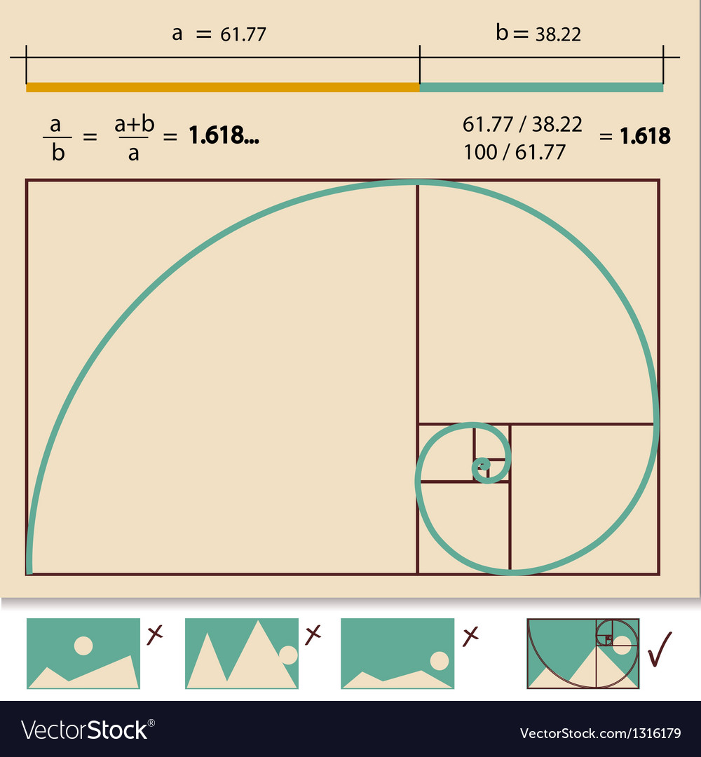 golden-ratio-golden-proportion-royalty-free-vector-image