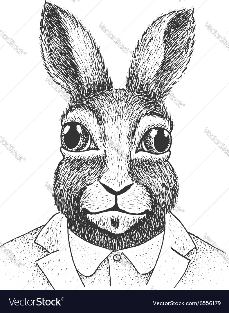 Rabbit engraving Royalty Free Vector Image - VectorStock