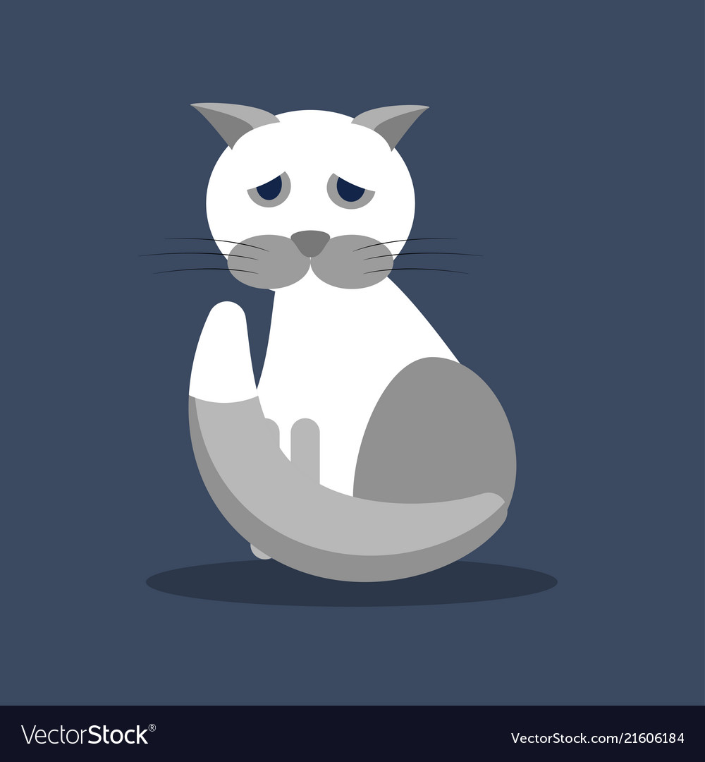 A sad gray-white cat