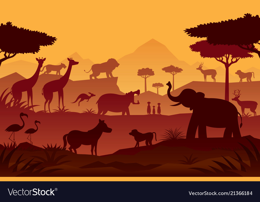 wild animal backgrounds