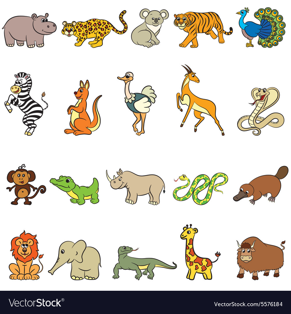 Colorful Zoo Animals
