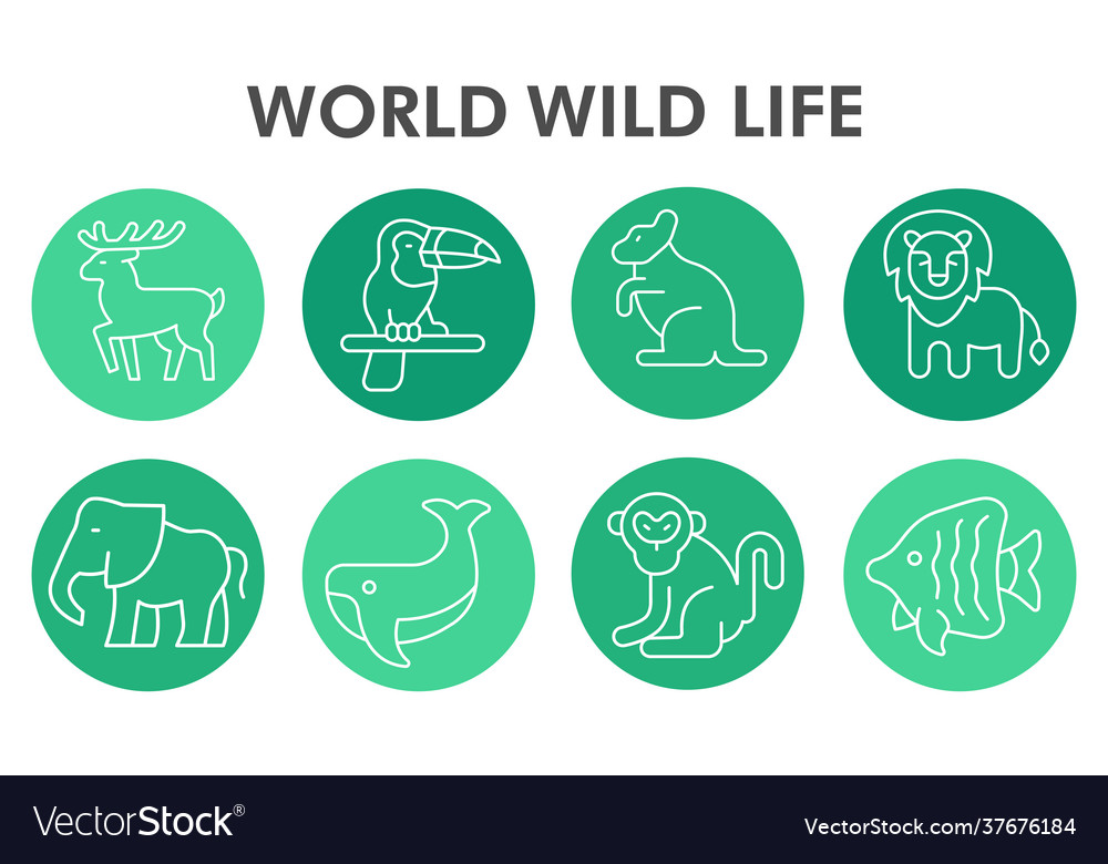 Modern world wildlife infographic design template