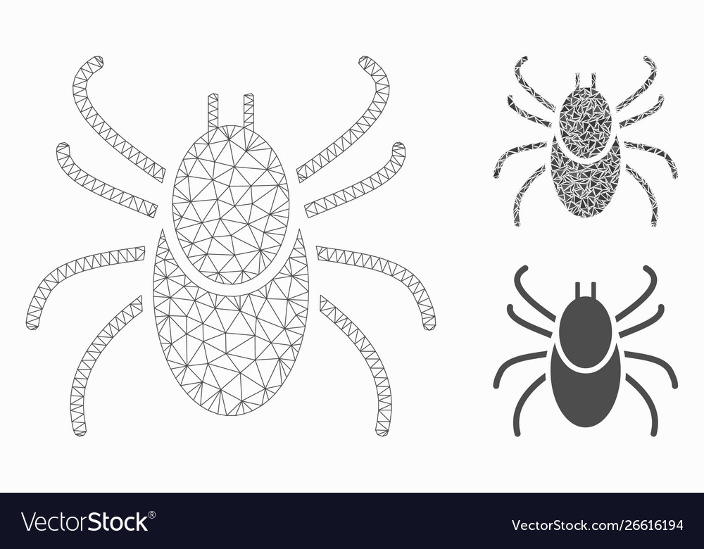 Mite tick mesh network model and triangle vector image Mite tick mesh network model and triangle