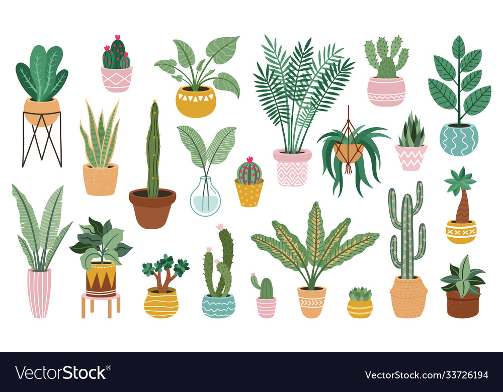 Plant in pots home potted plants flower house Vector Image