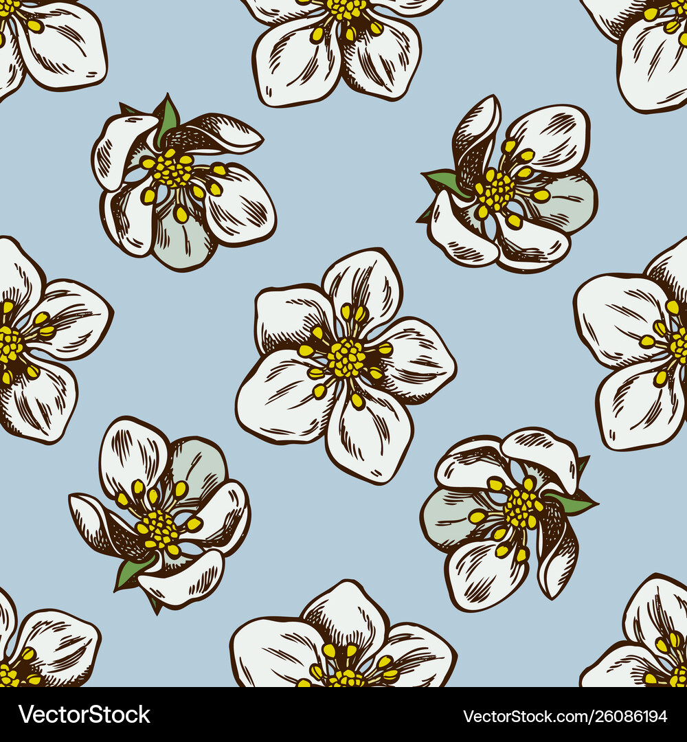 Seamless pattern with hand drawn colored Vector Image