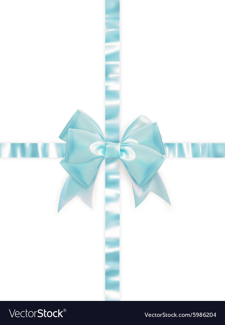 Beautiful bow on white background eps 10 Vector Image