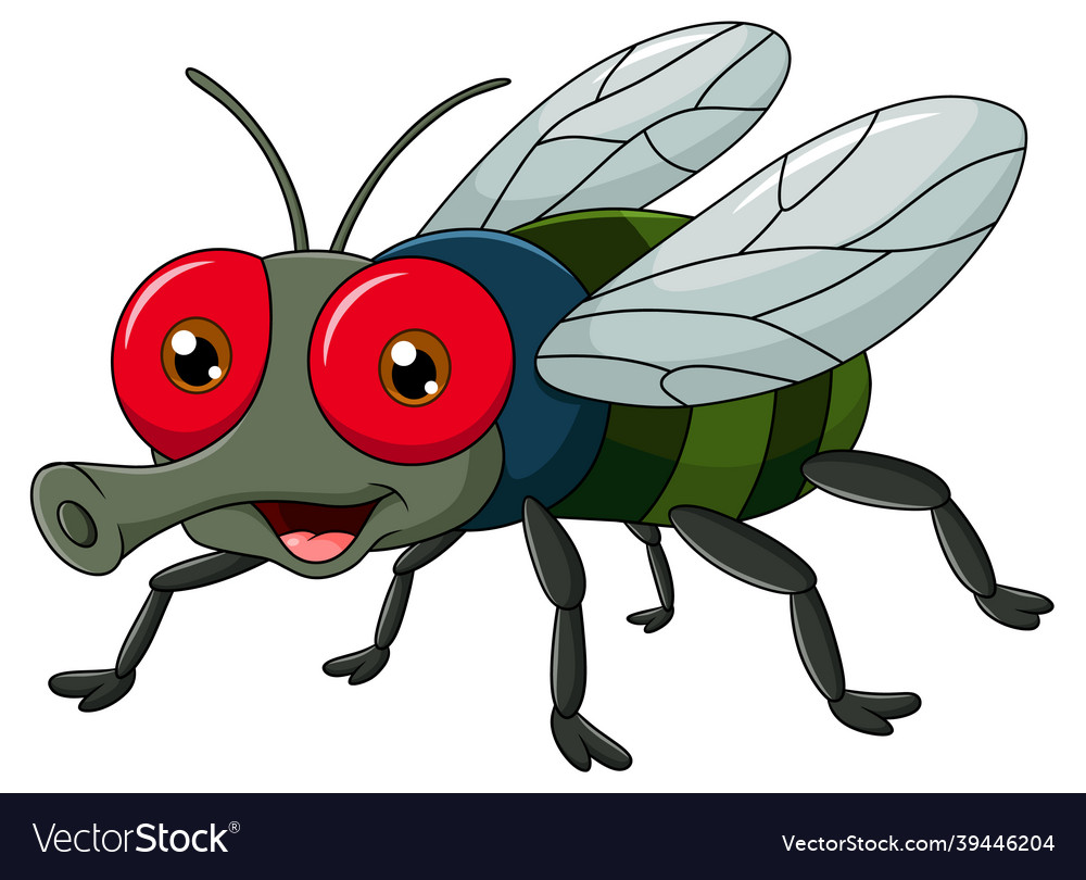 Cute fly cartoon Royalty Free Vector Image - VectorStock