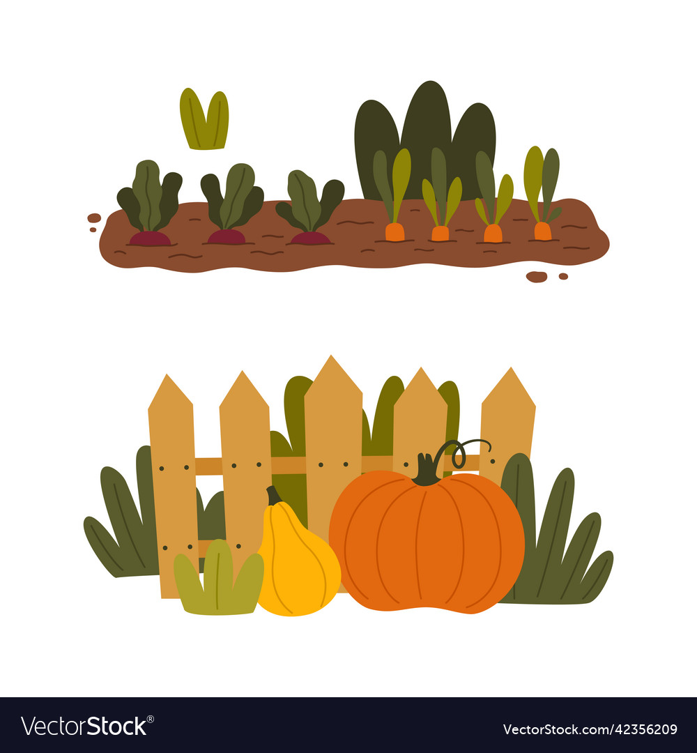 Ripe pumpkin and carrot growing on garden bed vector image Ripe pumpkin and carrot growing on garden bed
