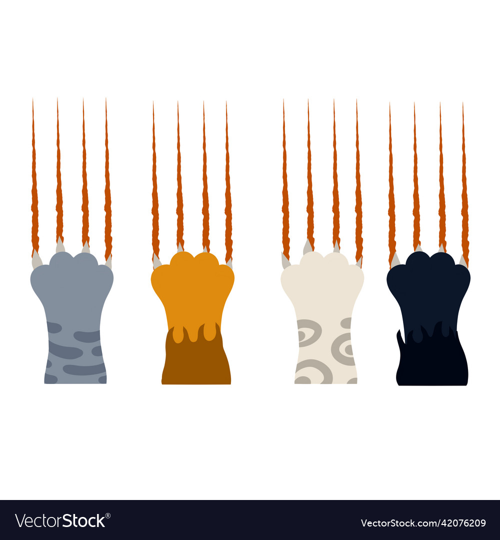 Set of different cat paws with claws