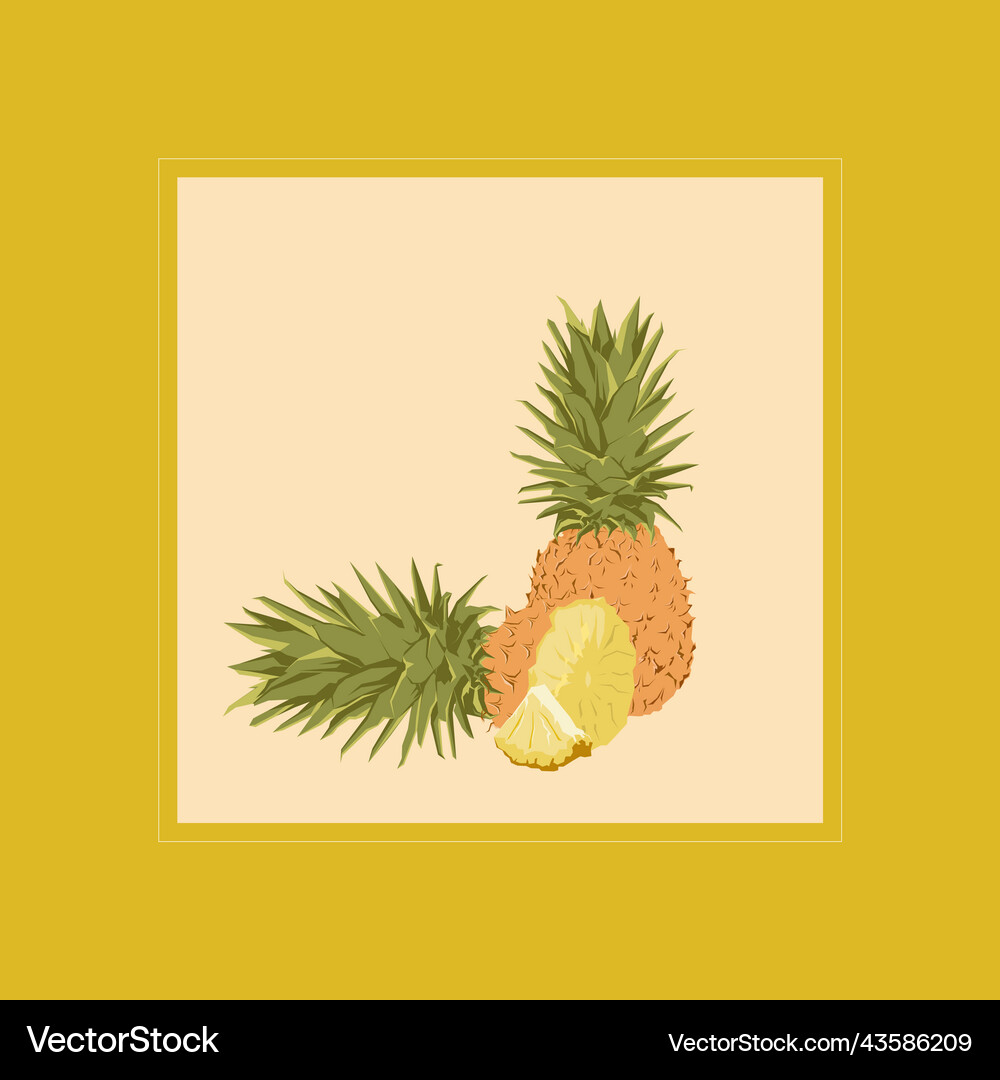 Tropical fruit pineapple Royalty Free Vector Image