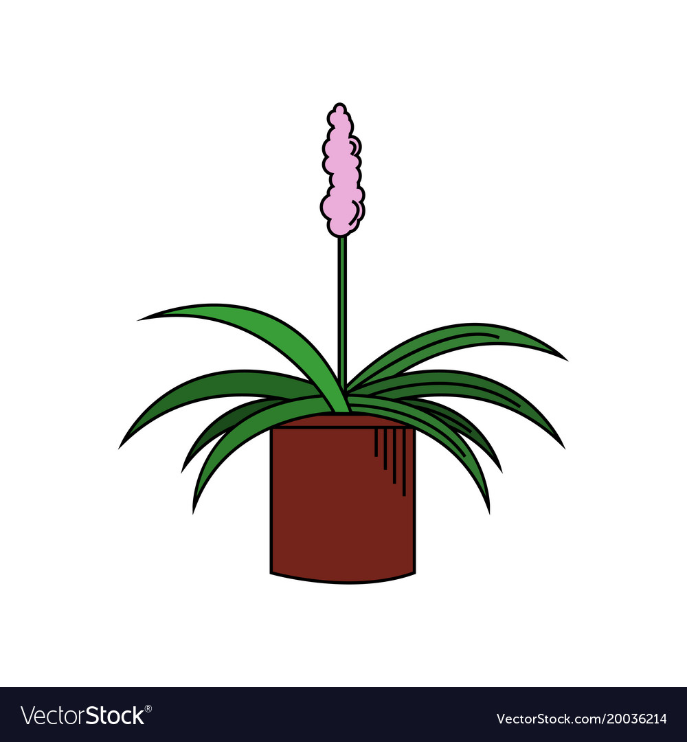 Beautiful plant with pink flower in pot