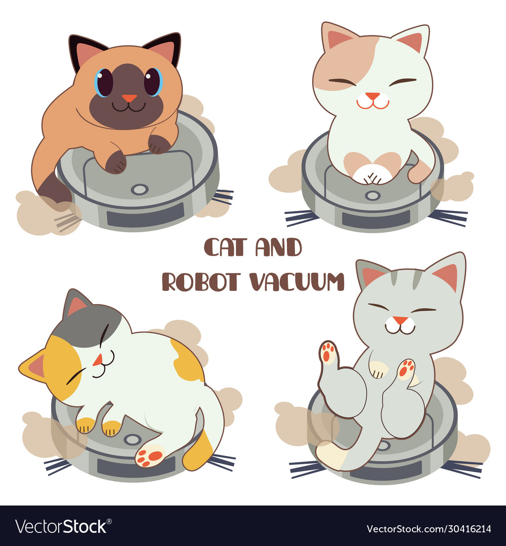 Collection cute cat with robot vaccuum set