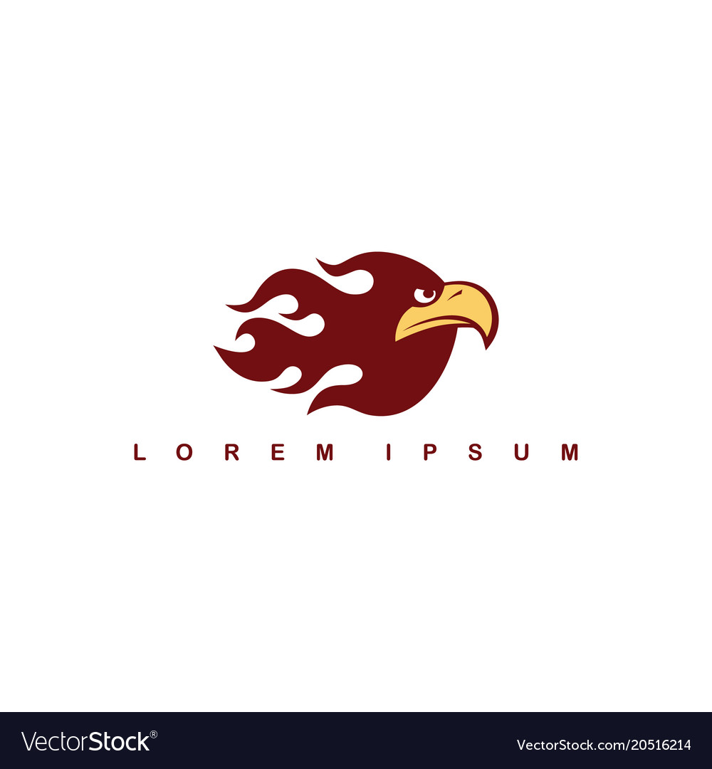 Fire flame theme eagle hawk bird logo template