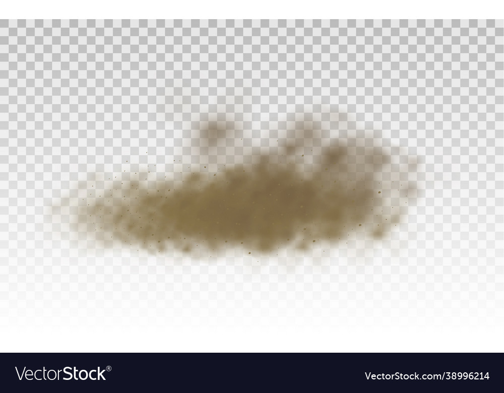 Fliegender Sand brauner Staubwolke Windsandstorm vector image Fliegender Sand brauner Staubwolke Windsandstorm
