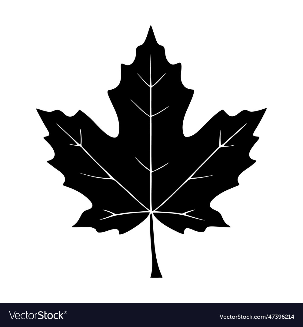 Maplle leaf silhouette logo isolated on white Vector Image