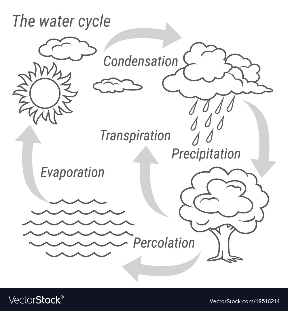 Water Cycle Diagram Drawing for Kids of Class 3 4 with Explanation