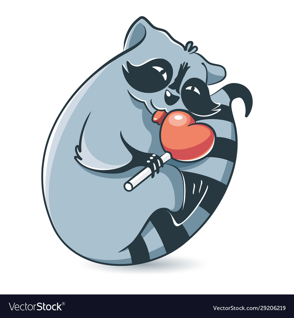 Cute raccoon licks a sweet heart-shaped lollipop