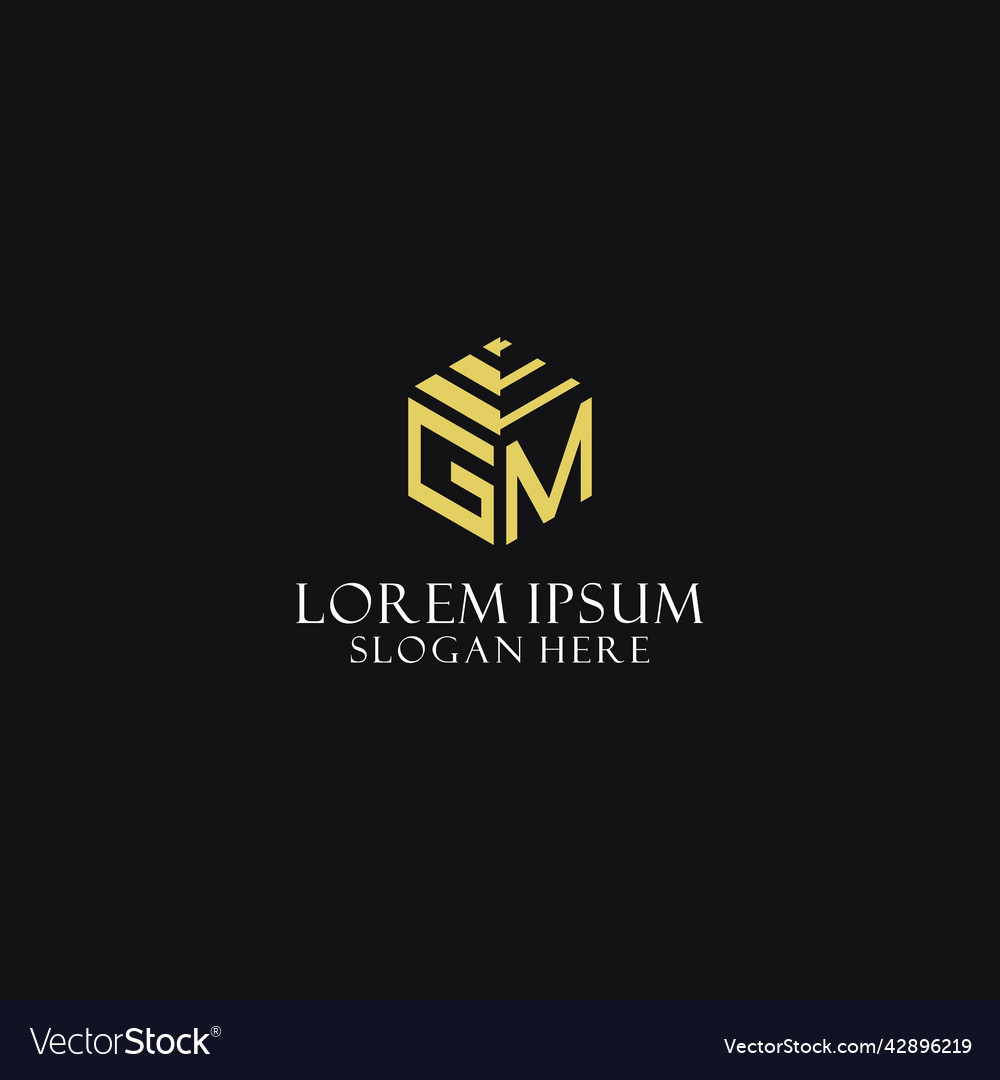 Gm initial monogram with hexagon shape logo