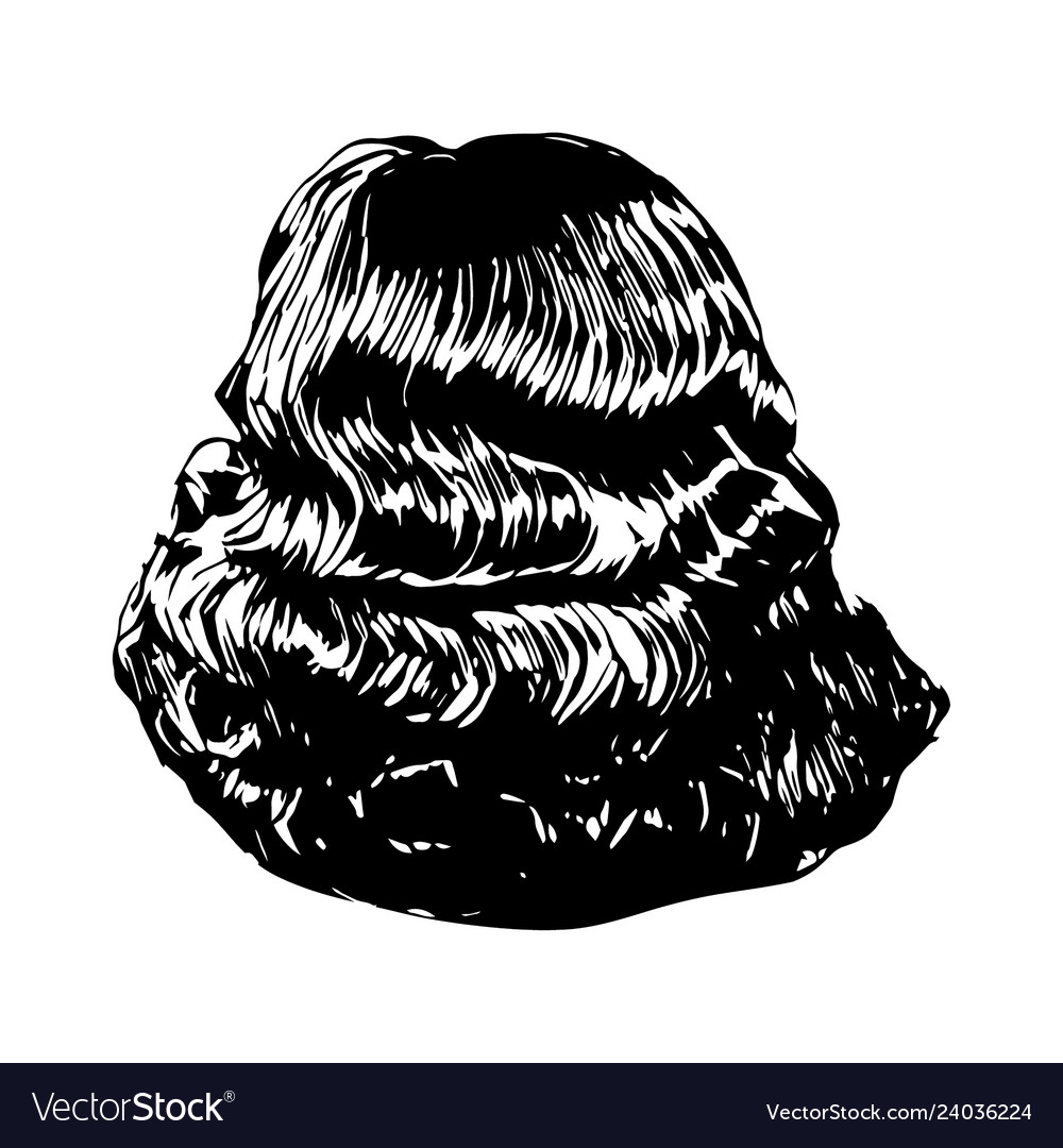 Elegant Vintage Retro Woman Wave Hairstyl Vector Image