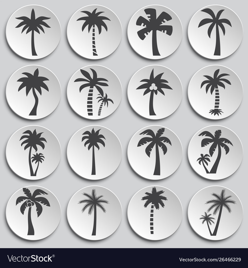 Palm tree related icon set on background vector image Palm tree related icon set on background