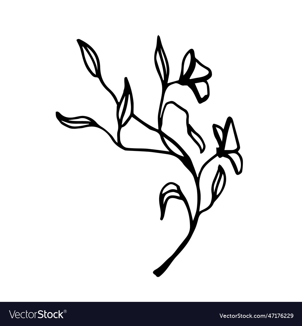 Twig of a plant with flowers and leaves Royalty Free Vector