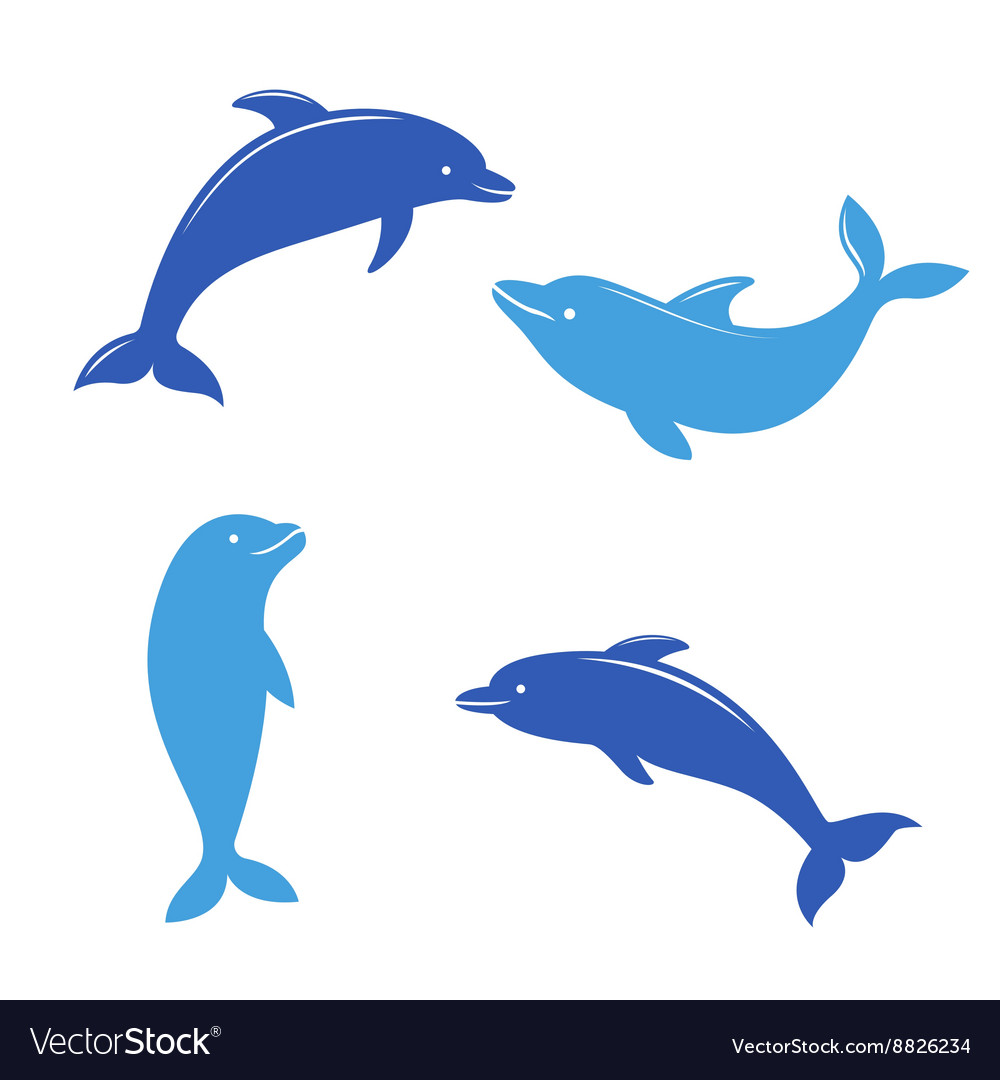 dolphin silhouettes on the white background vector image