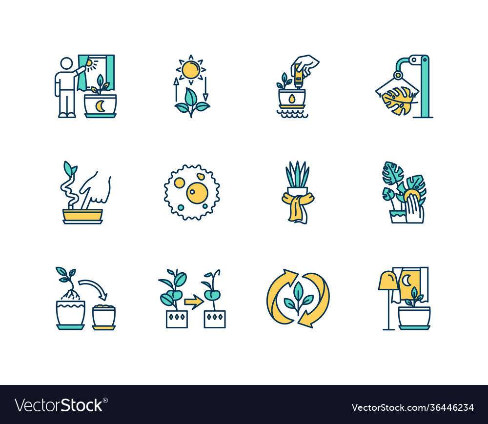 Houseplant care rgb color icons set