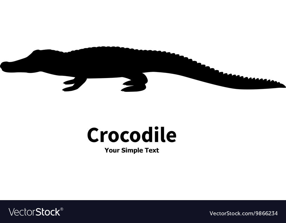 Alamy crocodile silhouette