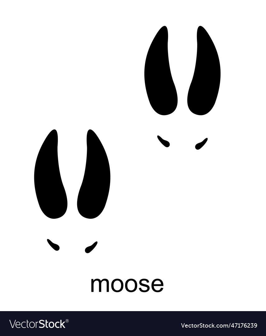 Moose footprint track of forest vector image Moose footprint track of forest