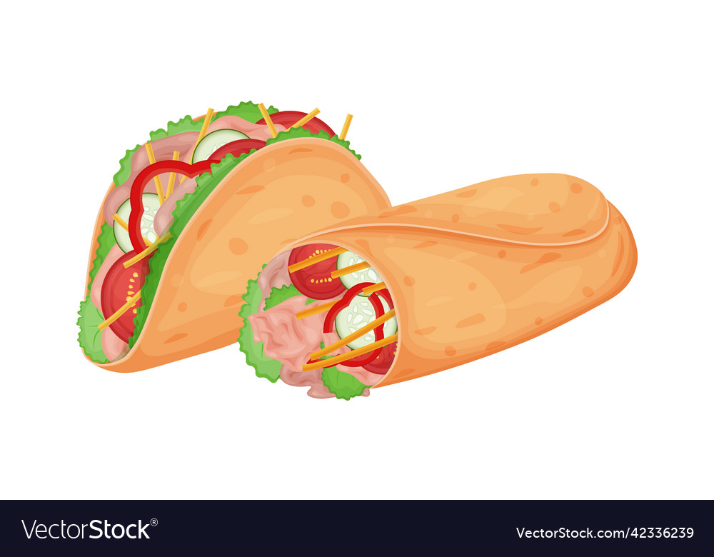 Tacos and burritos mexican cuisine burritos Vector Image