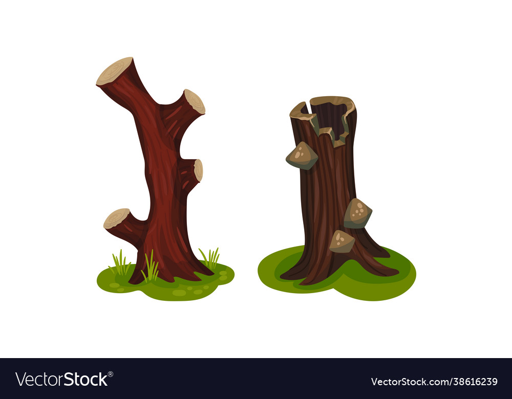 Tree stump as small part trunk with roots vector image Tree stump as small part trunk with roots