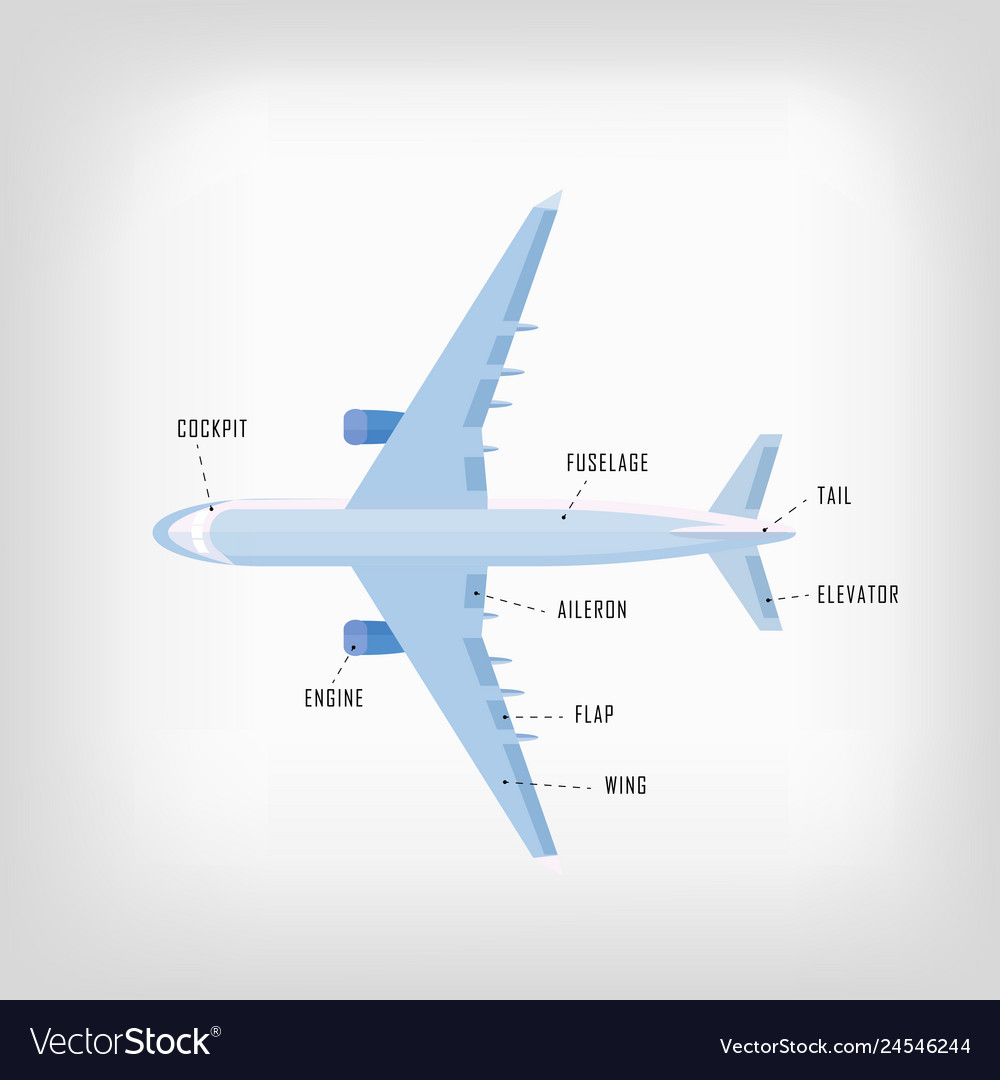 Decorative airplane in flat style with names of Vector Image