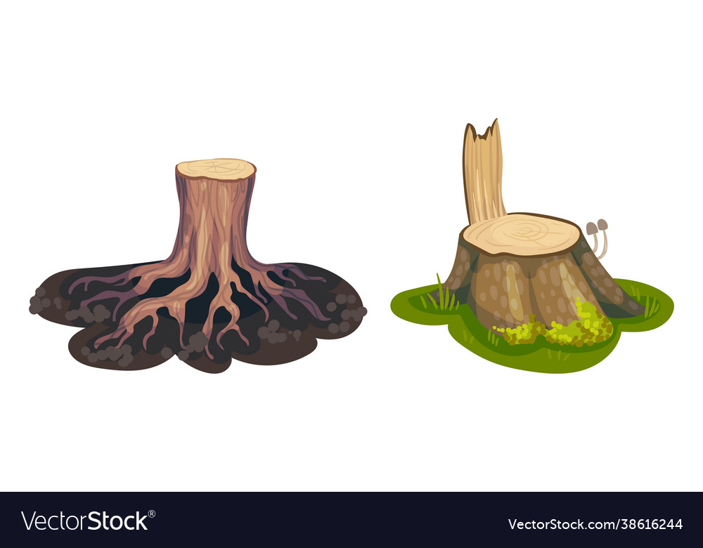 Tree stump as small part trunk with roots vector image Tree stump as small part trunk with roots
