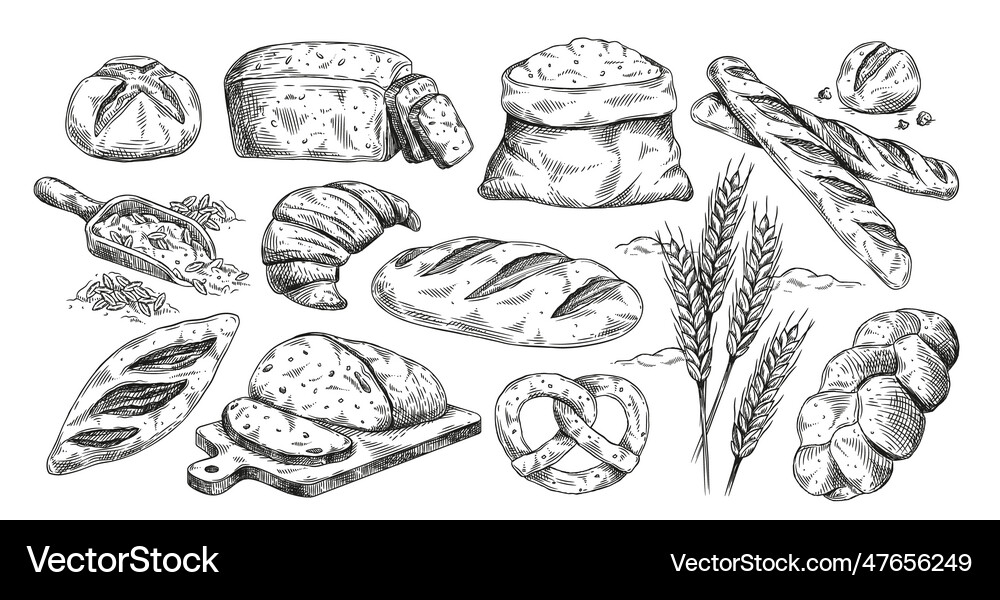 Bakery products set Royalty Free Vector Image - VectorStock