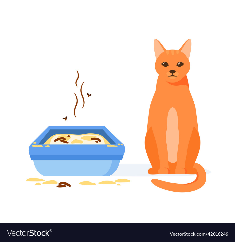 Cat not using dirty litter box wrong way