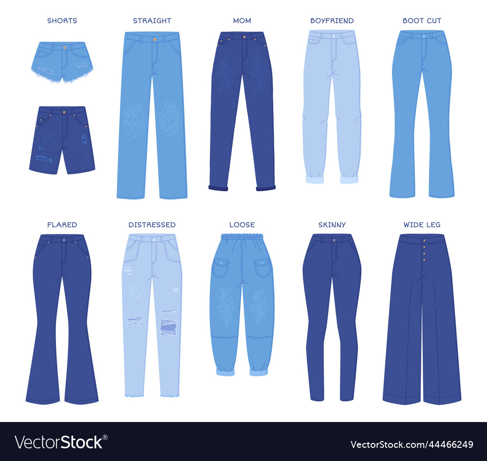 Cutting Jeans Pants Denim Pants Models Types Jean Vector Image
