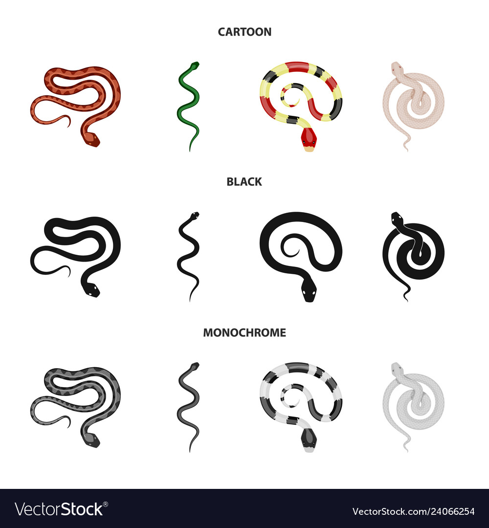 Isolated object of mammal and danger symbol set Vector Image Isolated object of mammal and danger symbol set