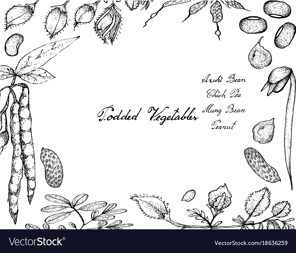 Hand drawn of podded vegetables frame