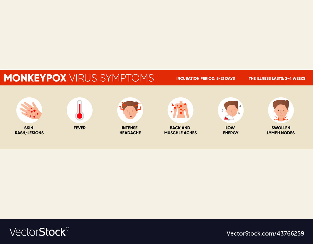 Monkeypox virus symptoms simple infographic post Vector Image