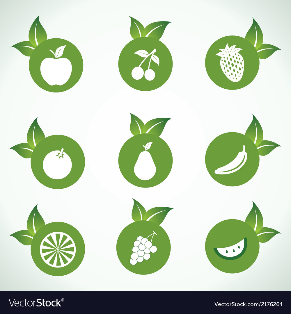 Different fruit icons and design with green leaf