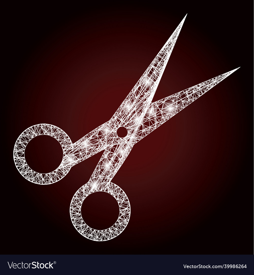 Flare net mesh scissors with lightspots vector image Flare net mesh scissors with lightspots