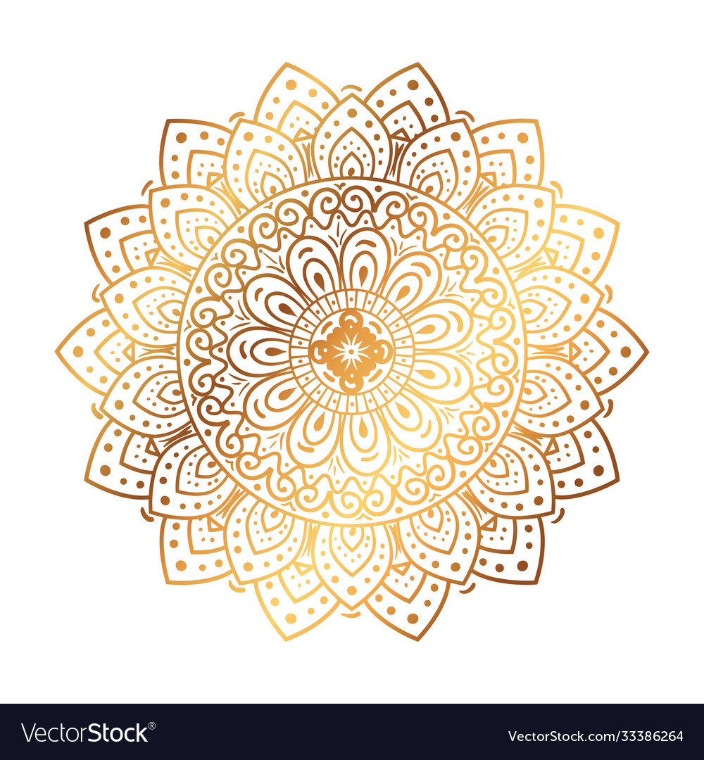 Golden flower mandala in white background Vector Image