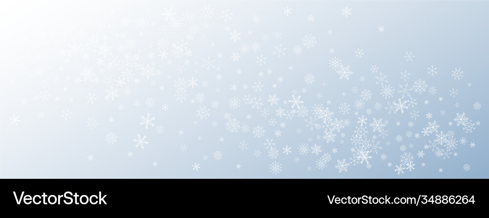 Gray snowflake background sky Royalty Free Vector Image