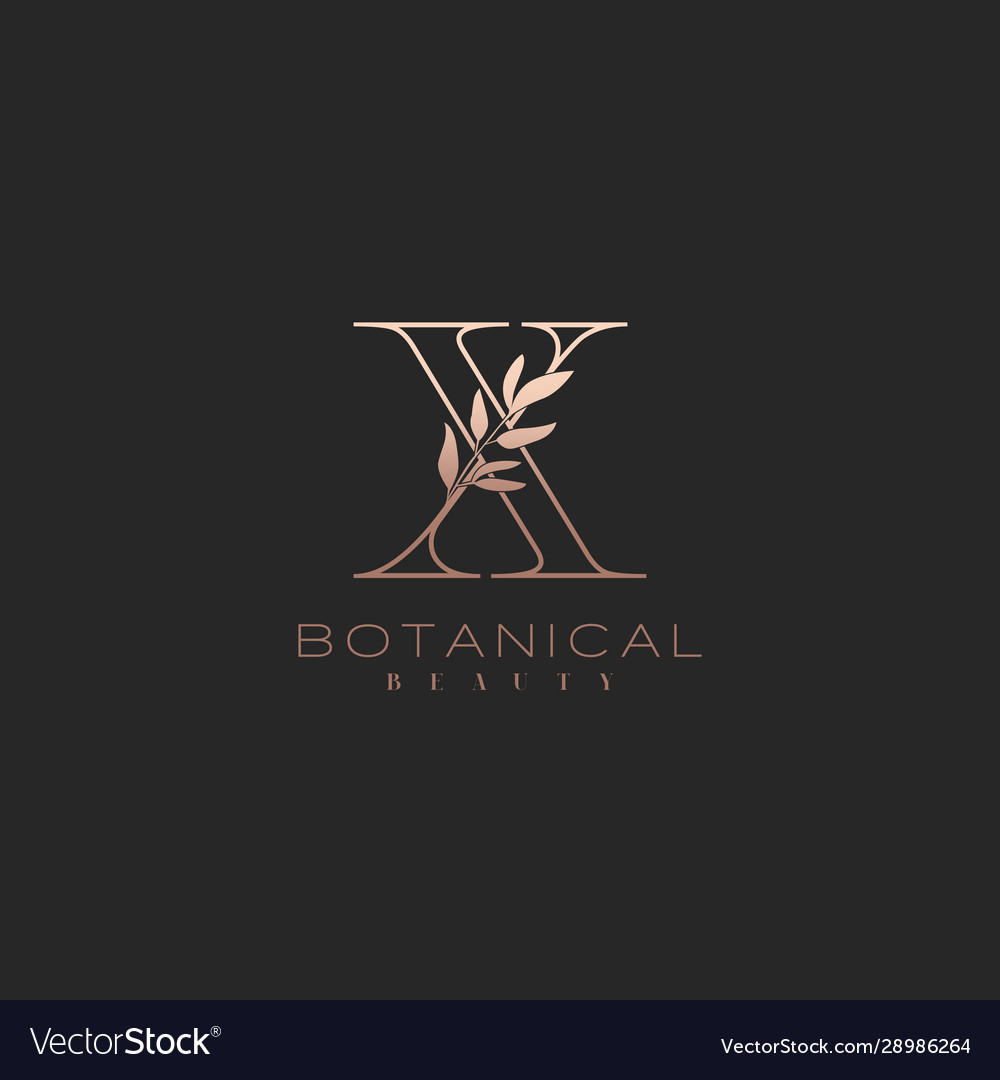 Letter x botanical elegant minimalist signature Vector Image