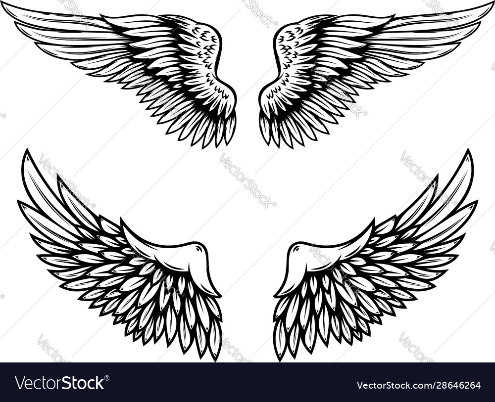 Wings in tattoo style isolated on white Royalty Free Vector