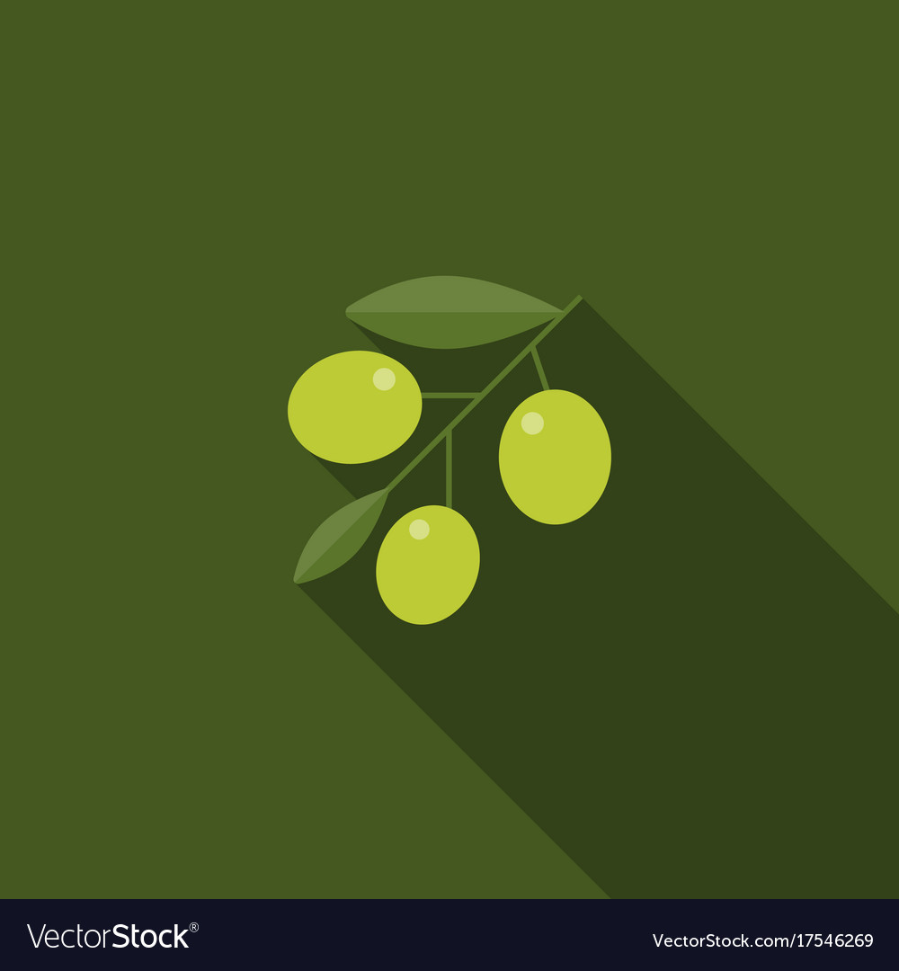 Green olive with leaves icon Royalty Free Vector Image