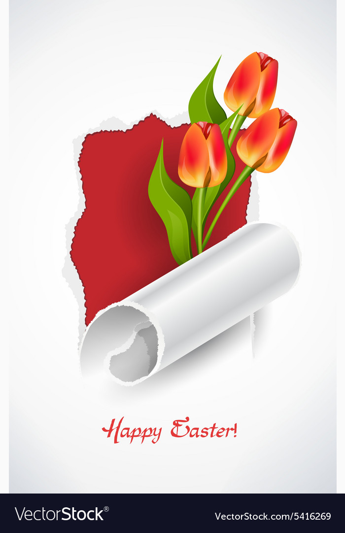Spring background