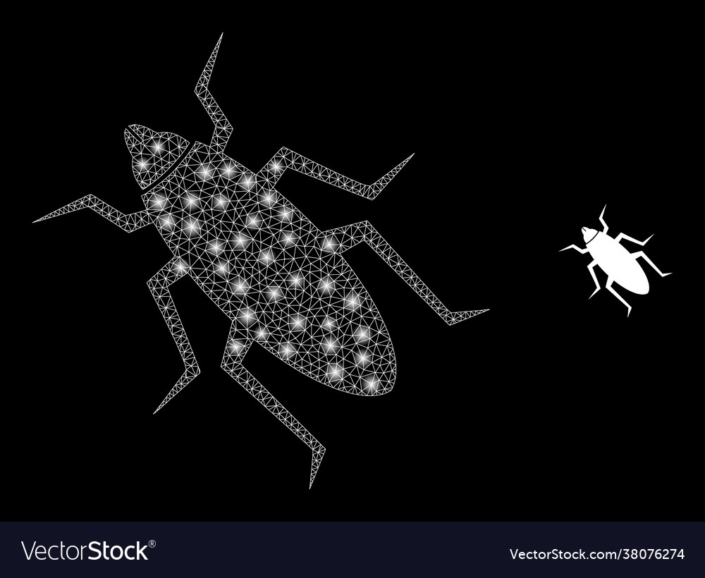 Constellation net bug with light spots vector image Constellation net bug with light spots