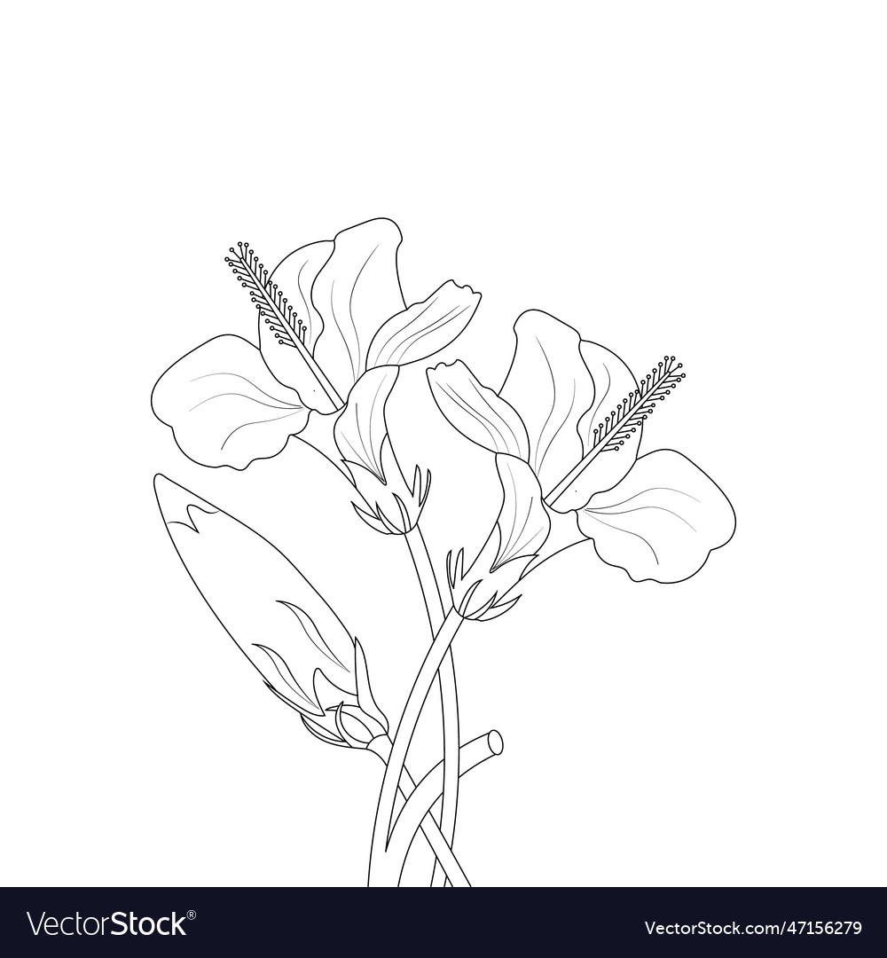 Flower drawing coloring page with doodle art line Vector Image