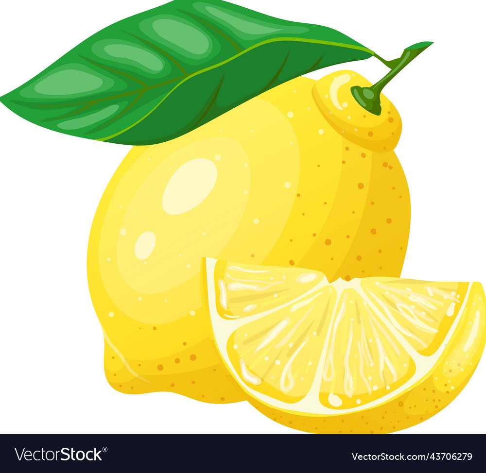 Lemon fruit cut cartoon Royalty Free Vector Image